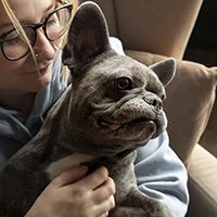 dog-lifestyle-care-with-owner